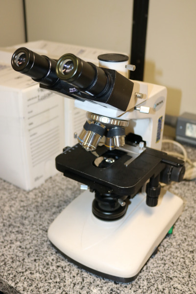 2 microscópios ópticos Bioval